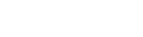 Prisoner Transport Systems